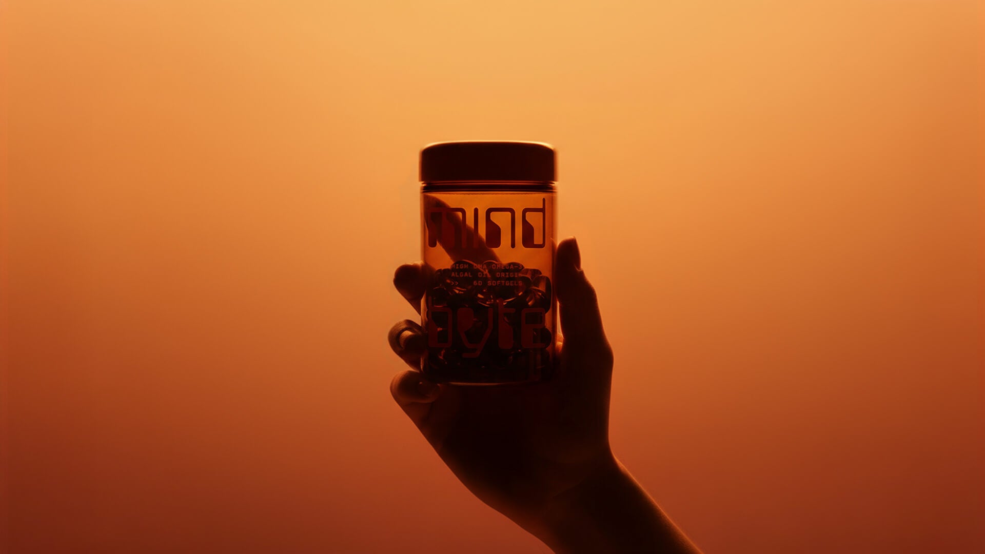 Supplements for the brain